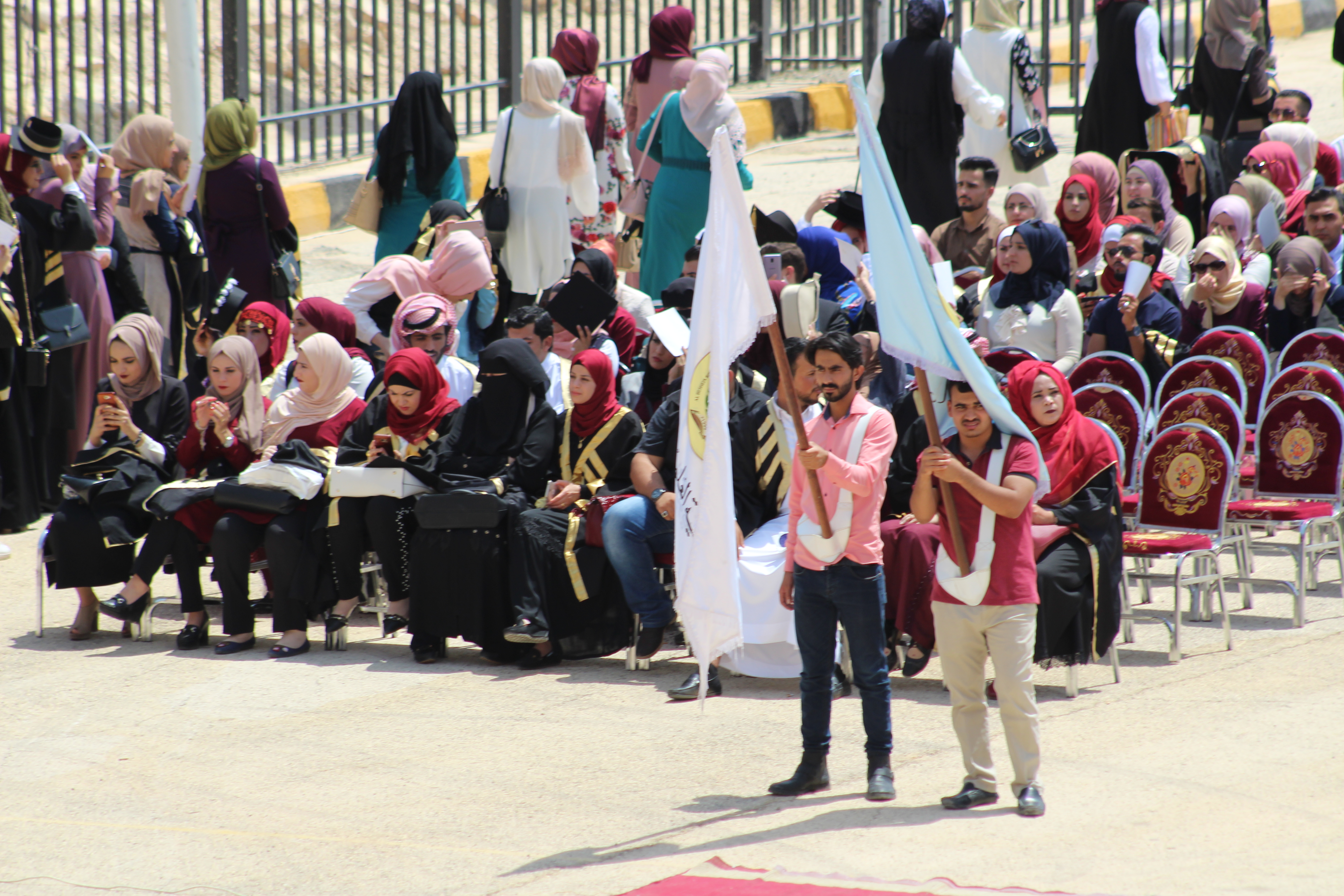 صورة 2
