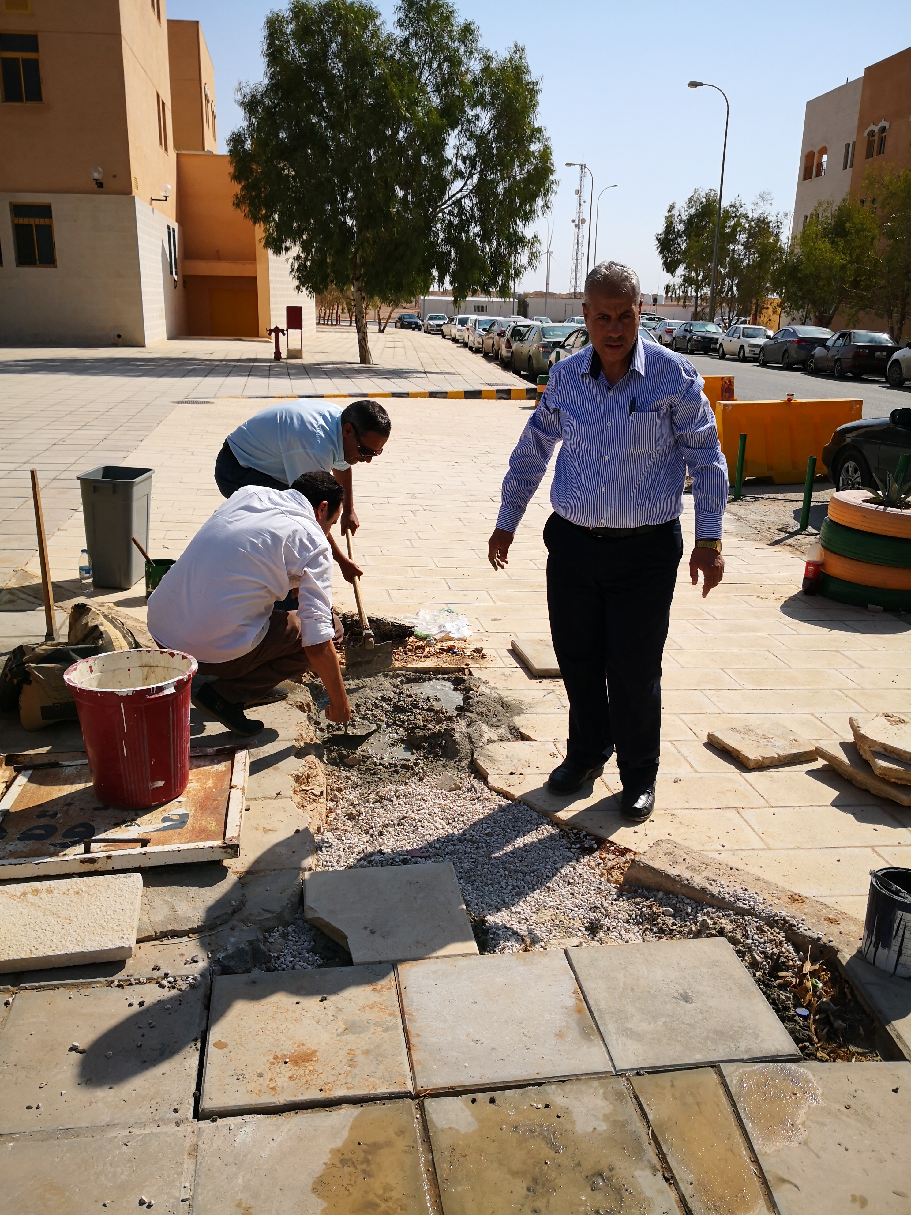صورة 2