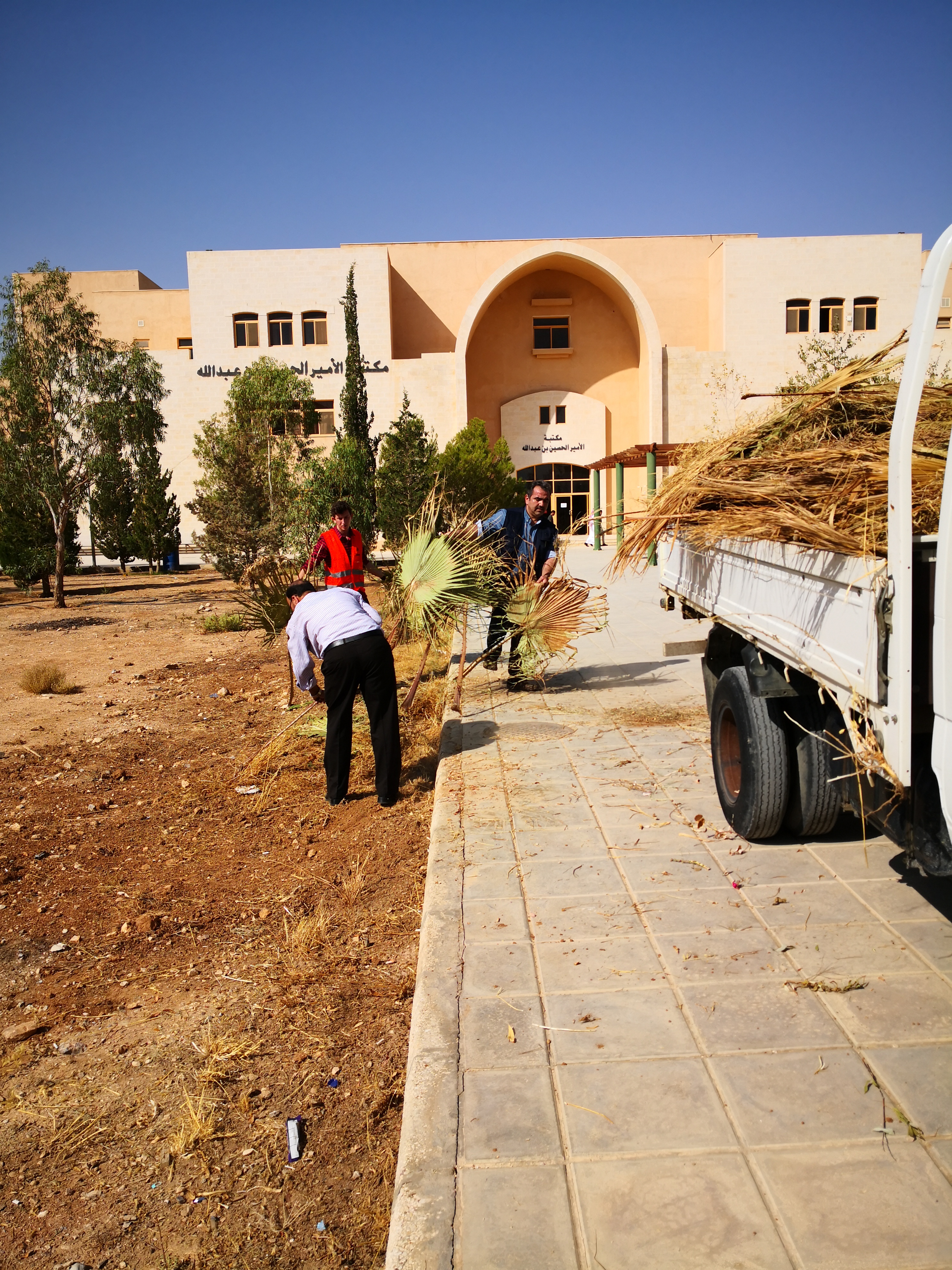 صورة 4