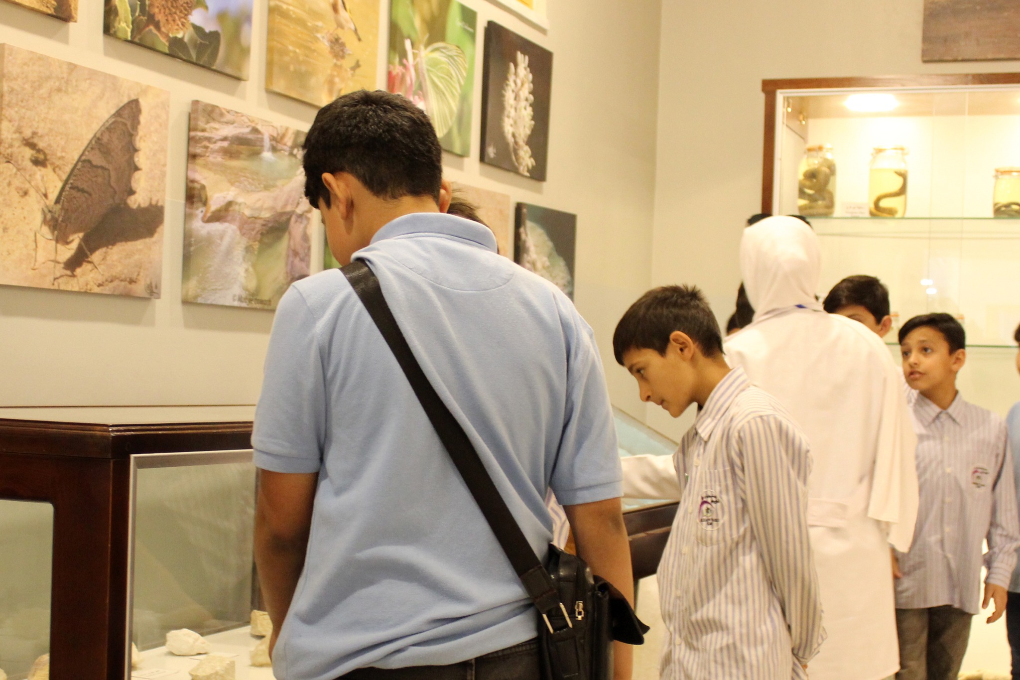 صورة 18