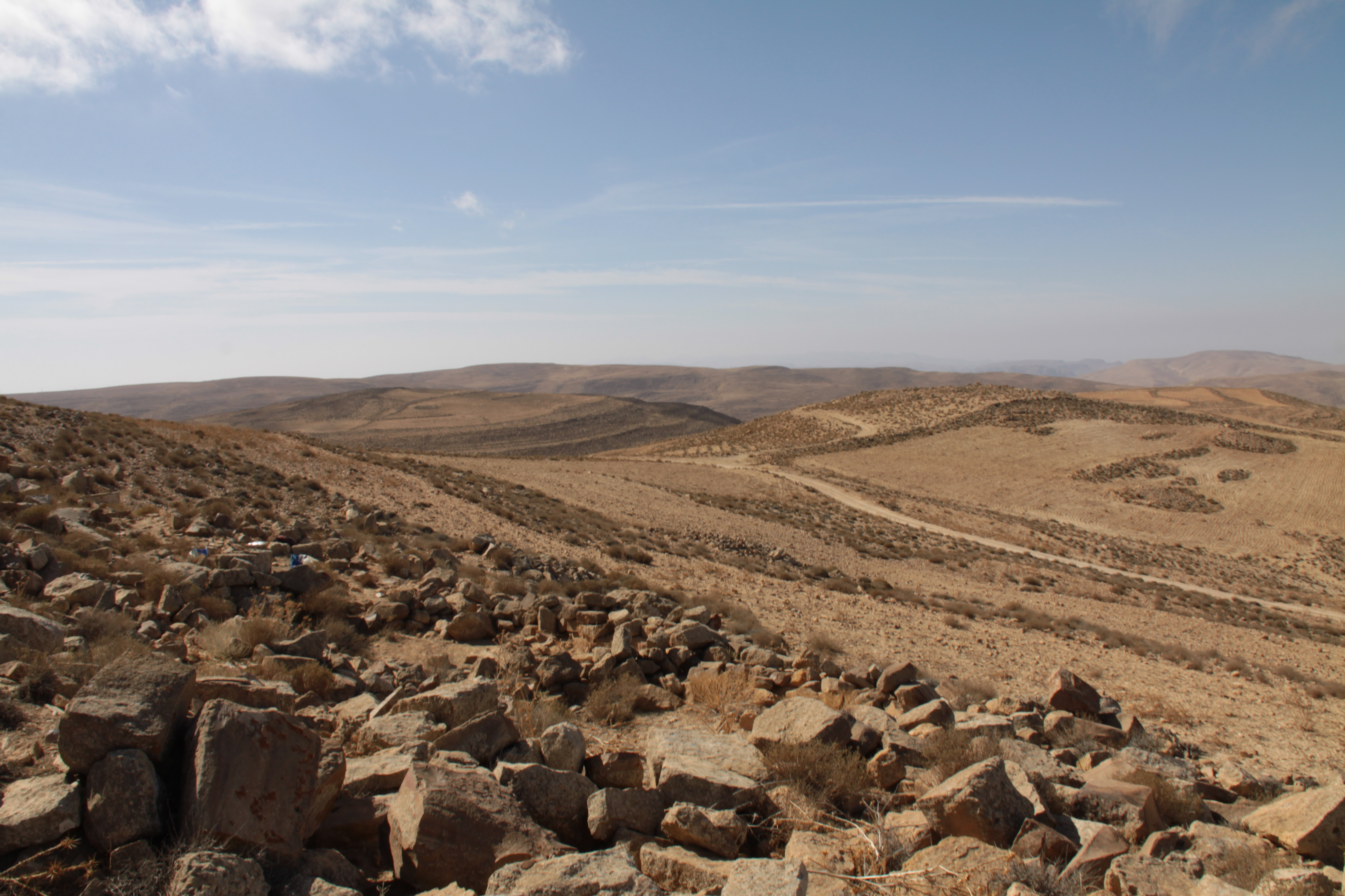 صورة 13