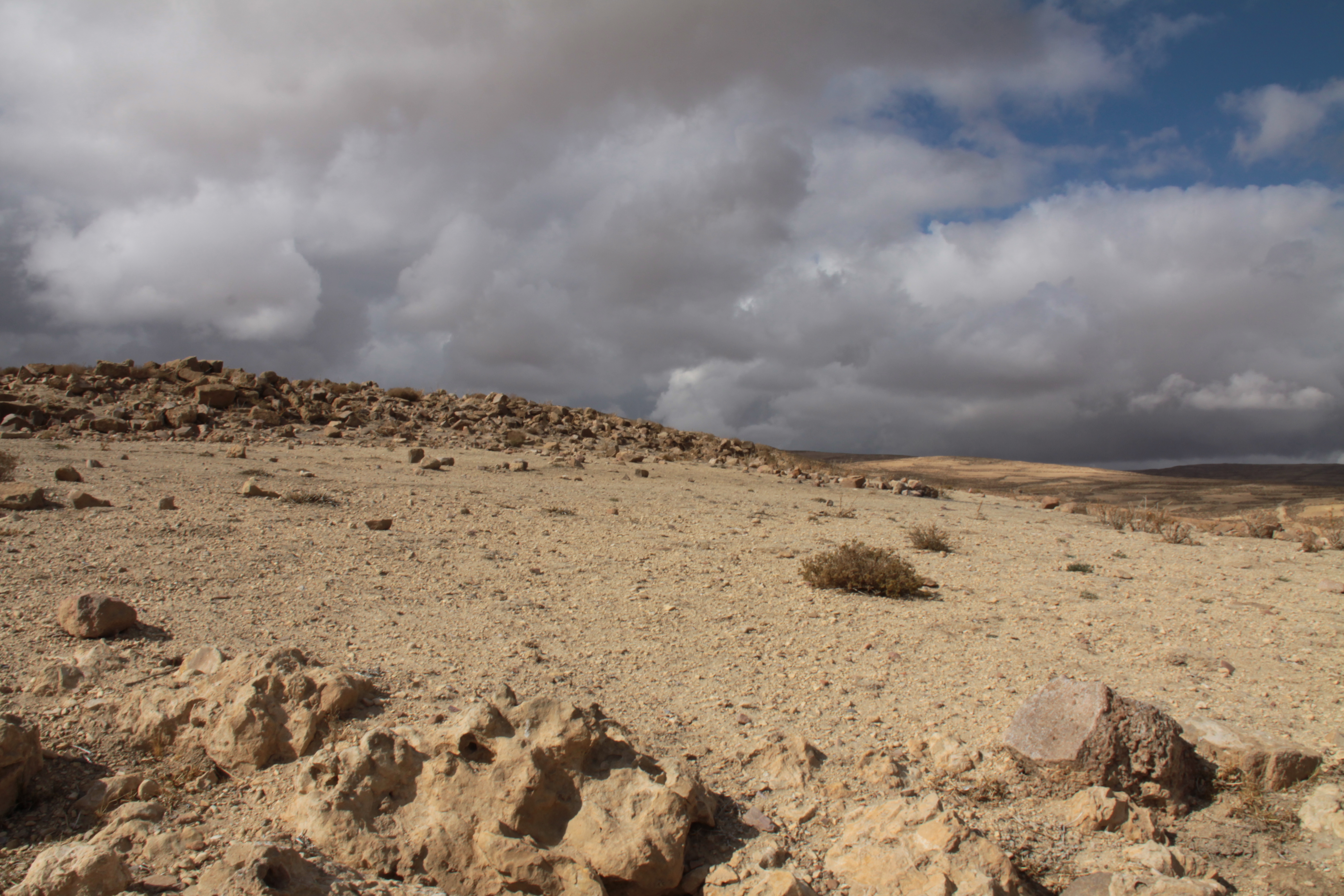 صورة 24