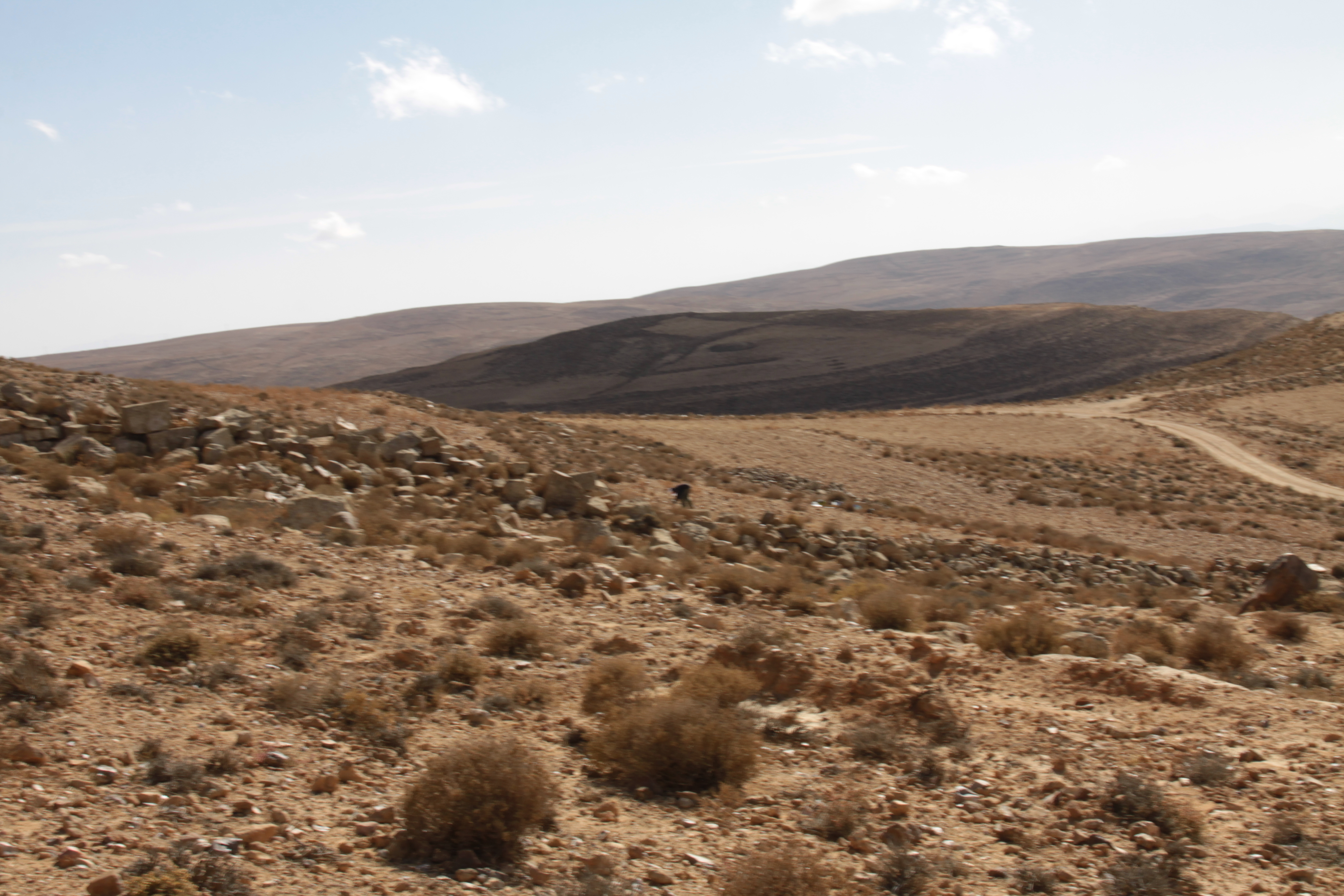 صورة 1