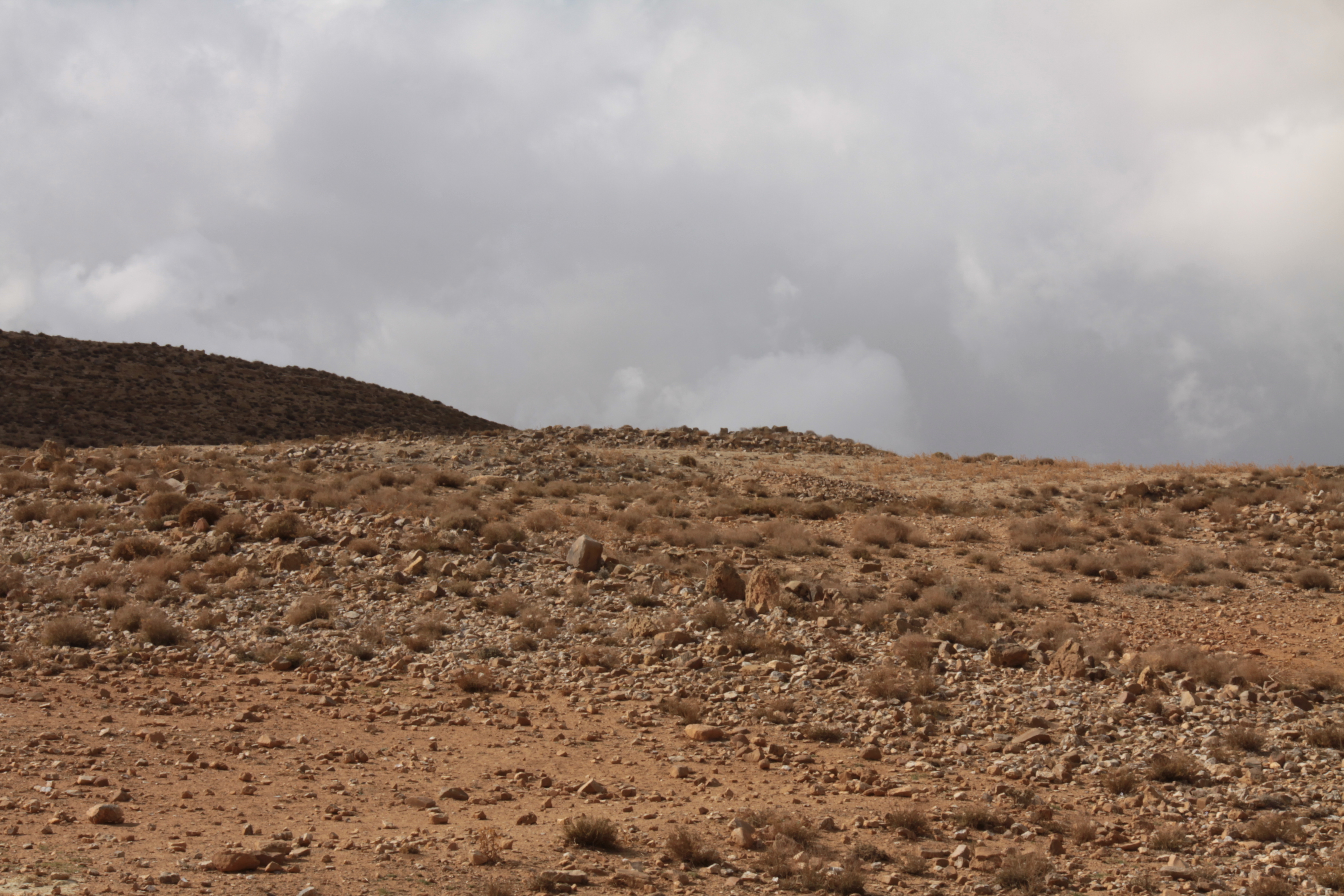 صورة 21