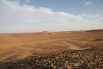 صورة 7