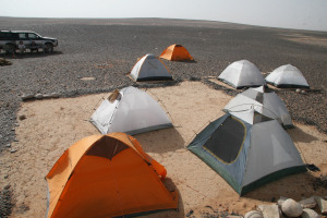 صورة 8