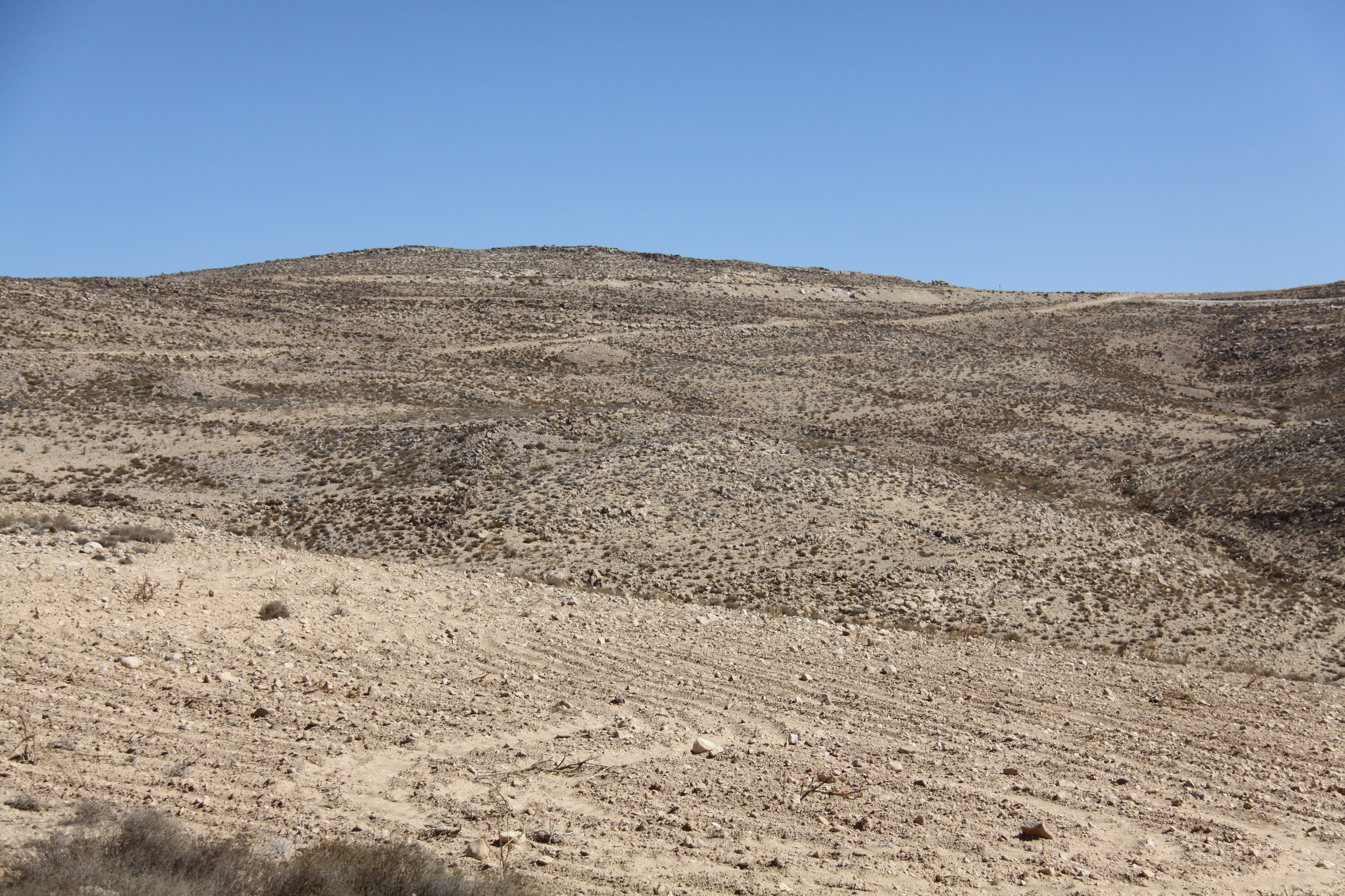 صورة 131
