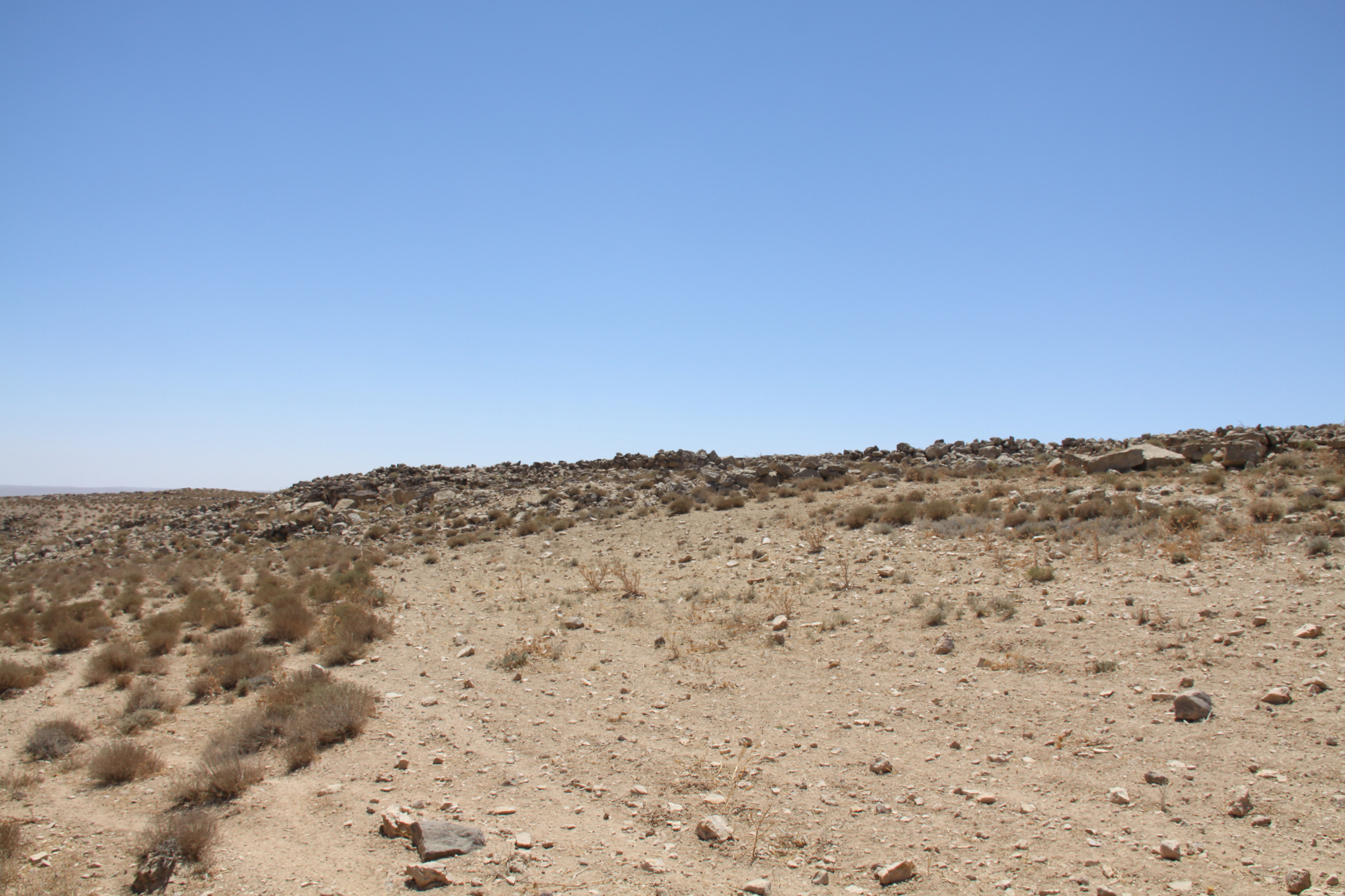 صورة 42