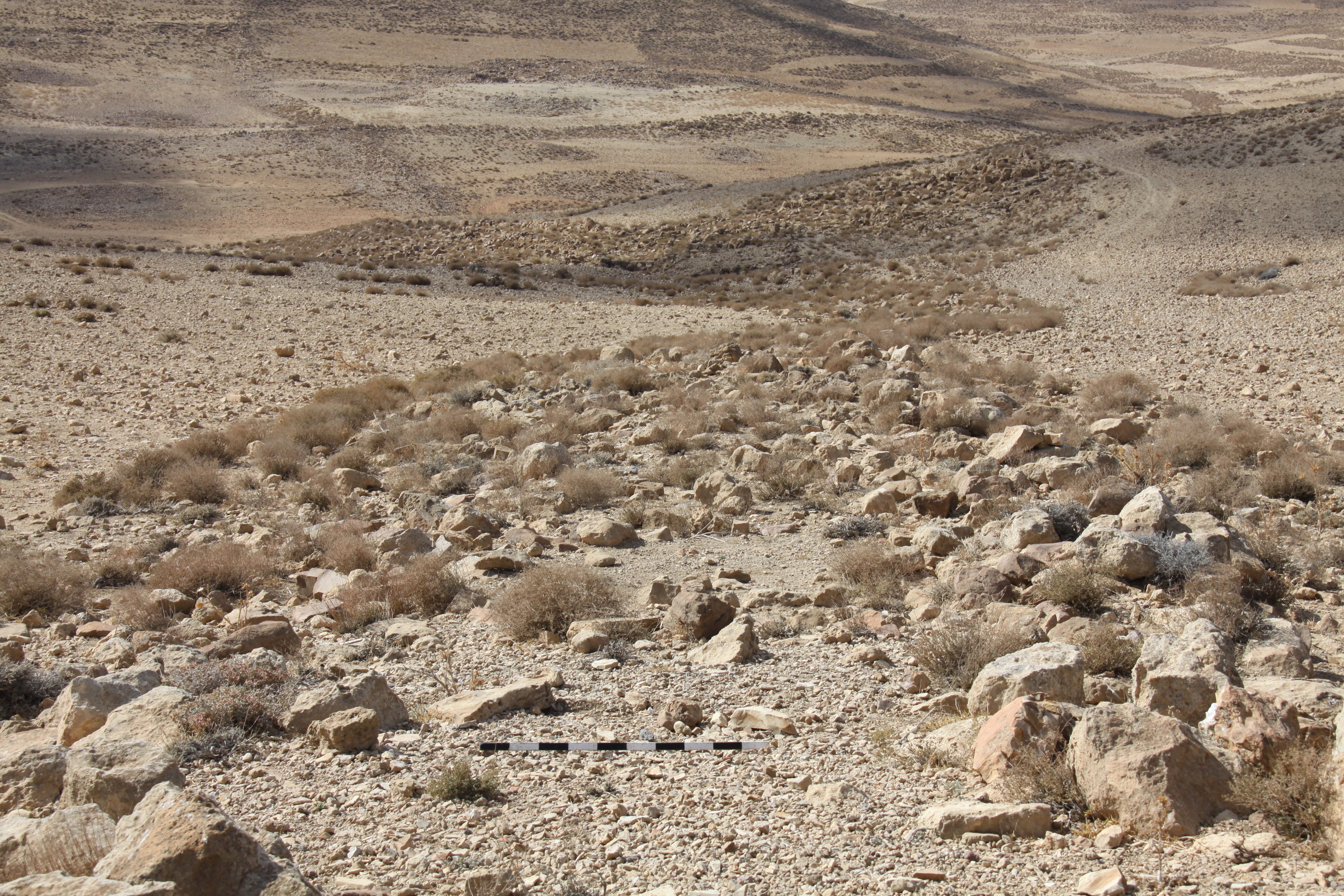 صورة 50