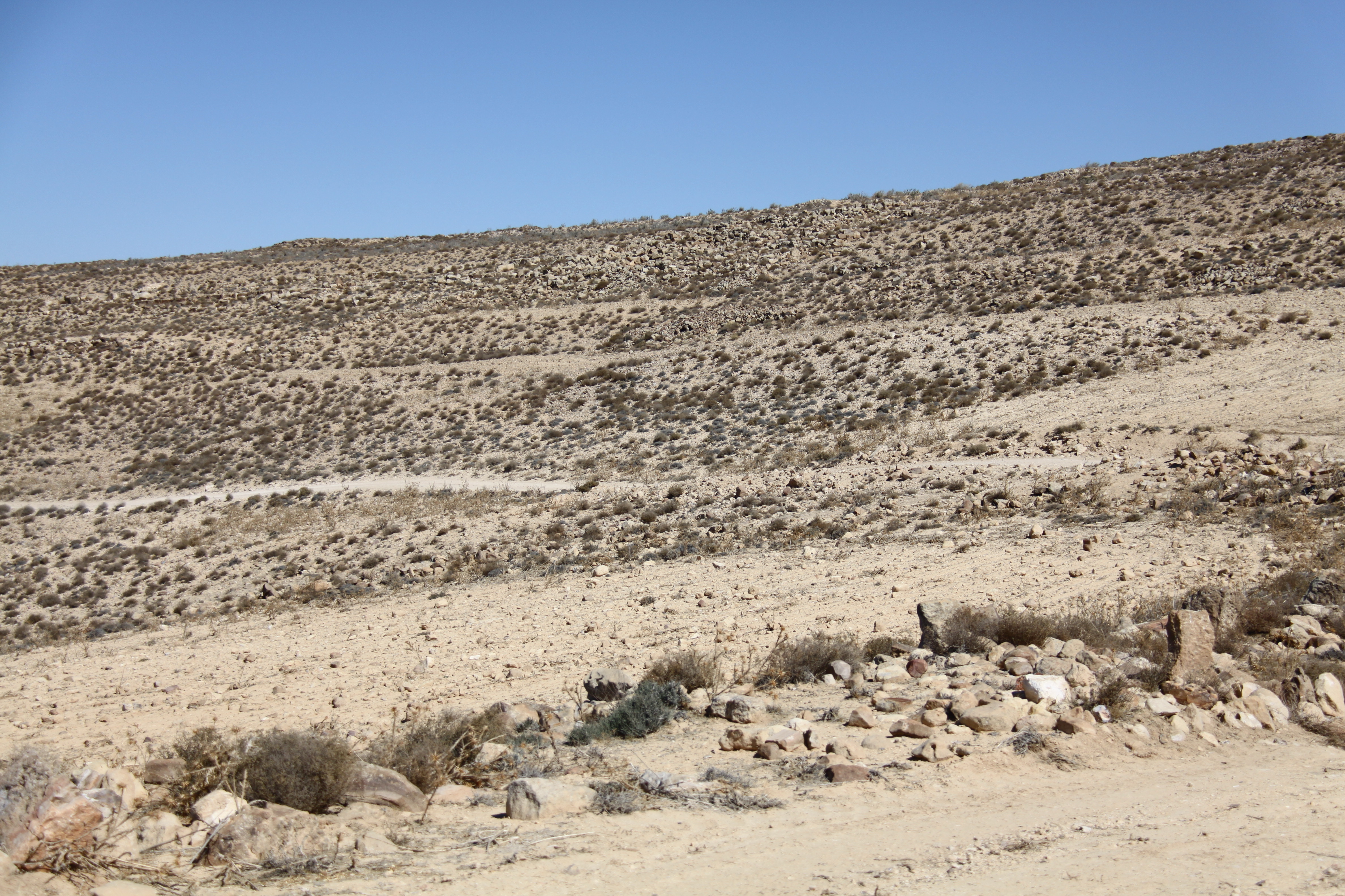 صورة 144