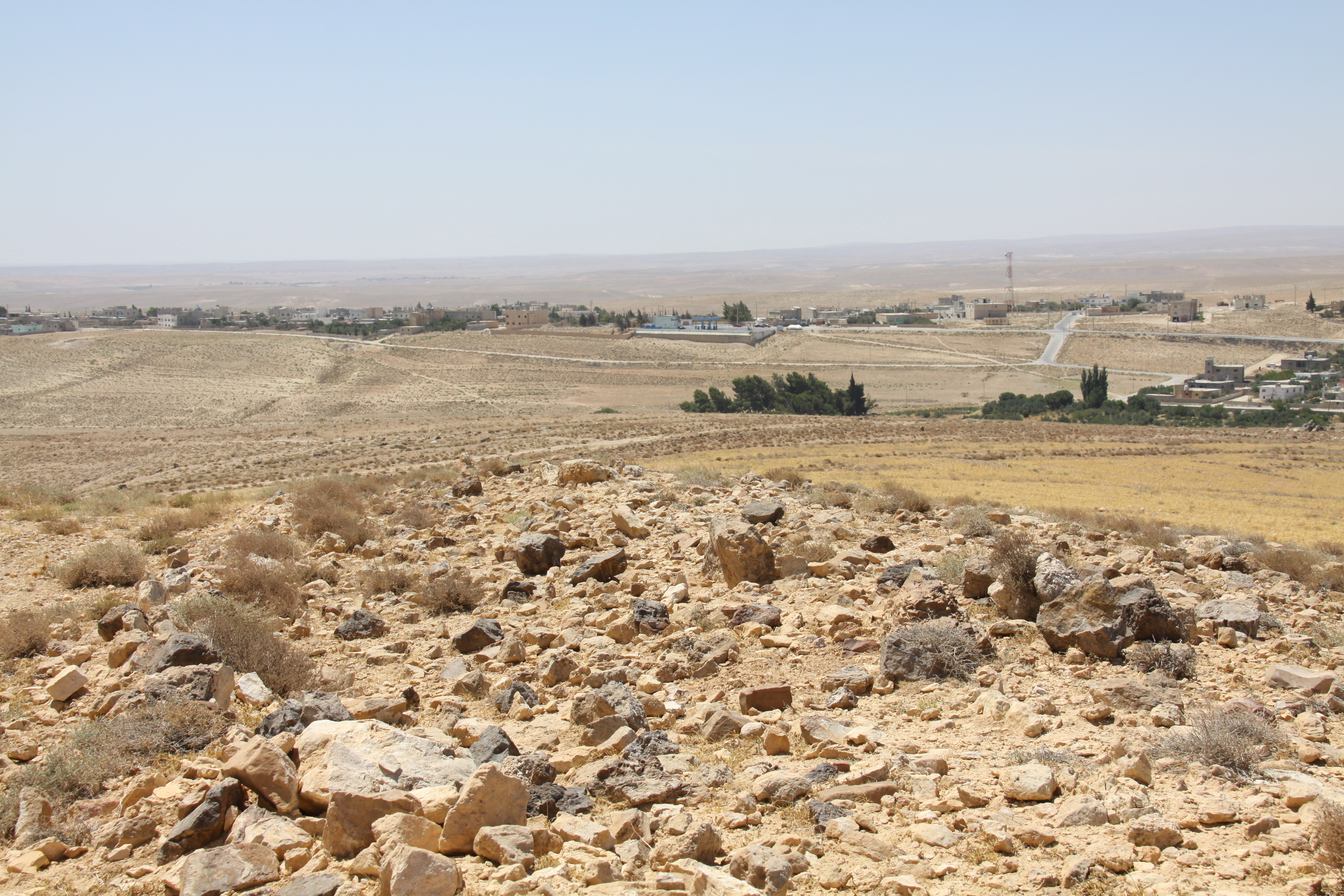 صورة 2