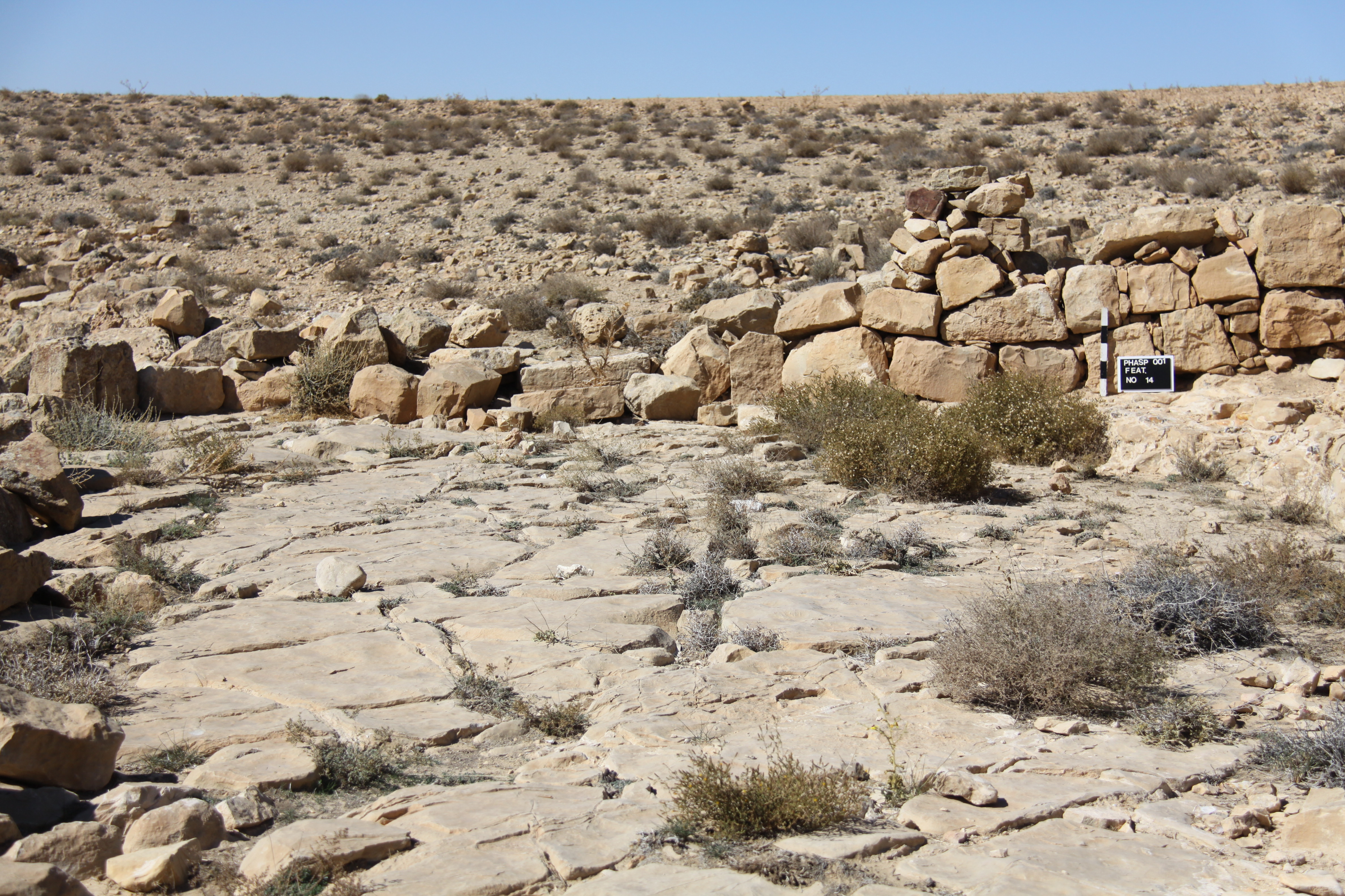 صورة 118