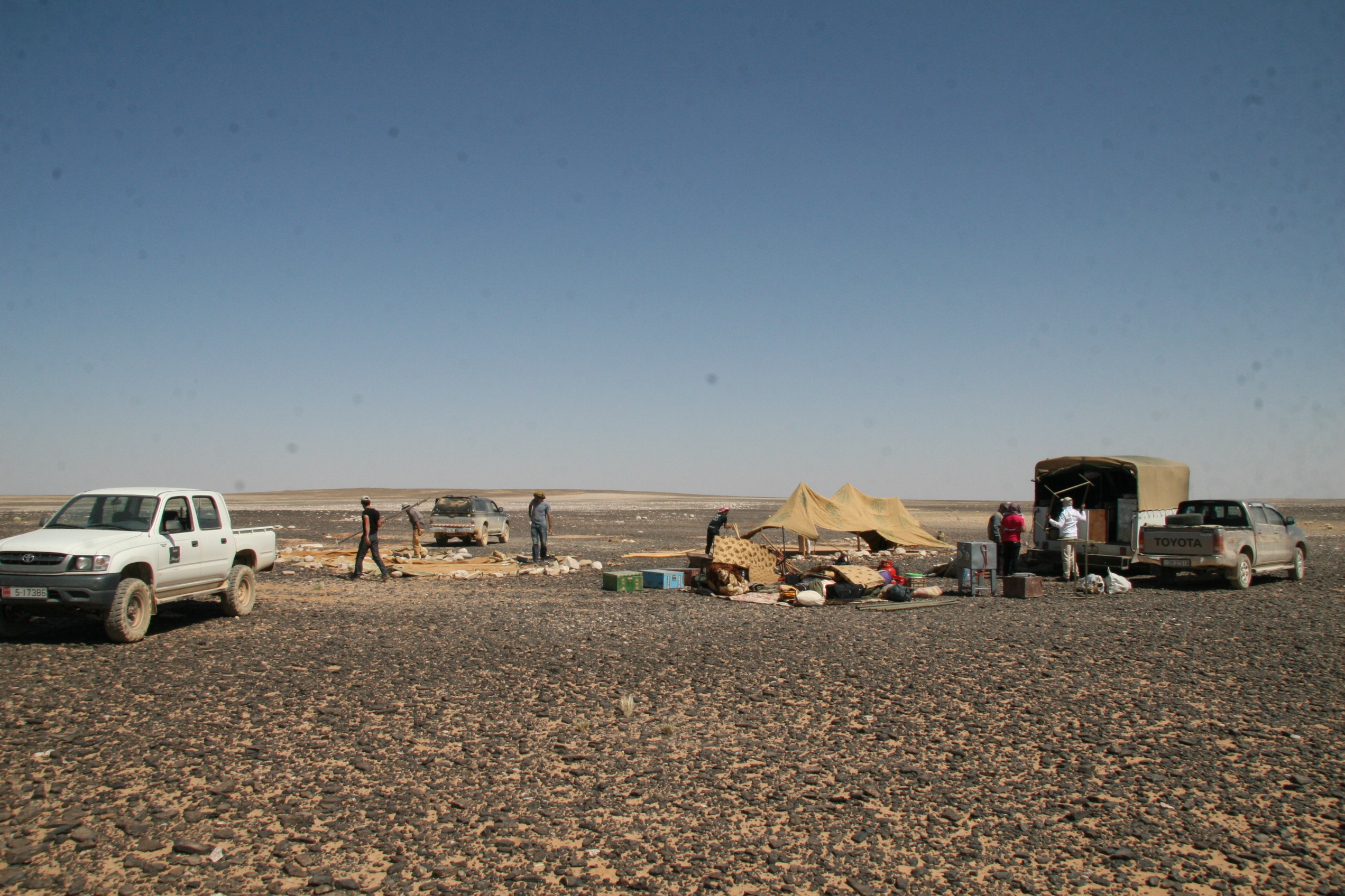 صورة 13