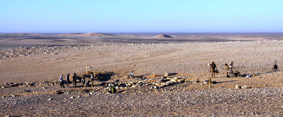 صورة 3