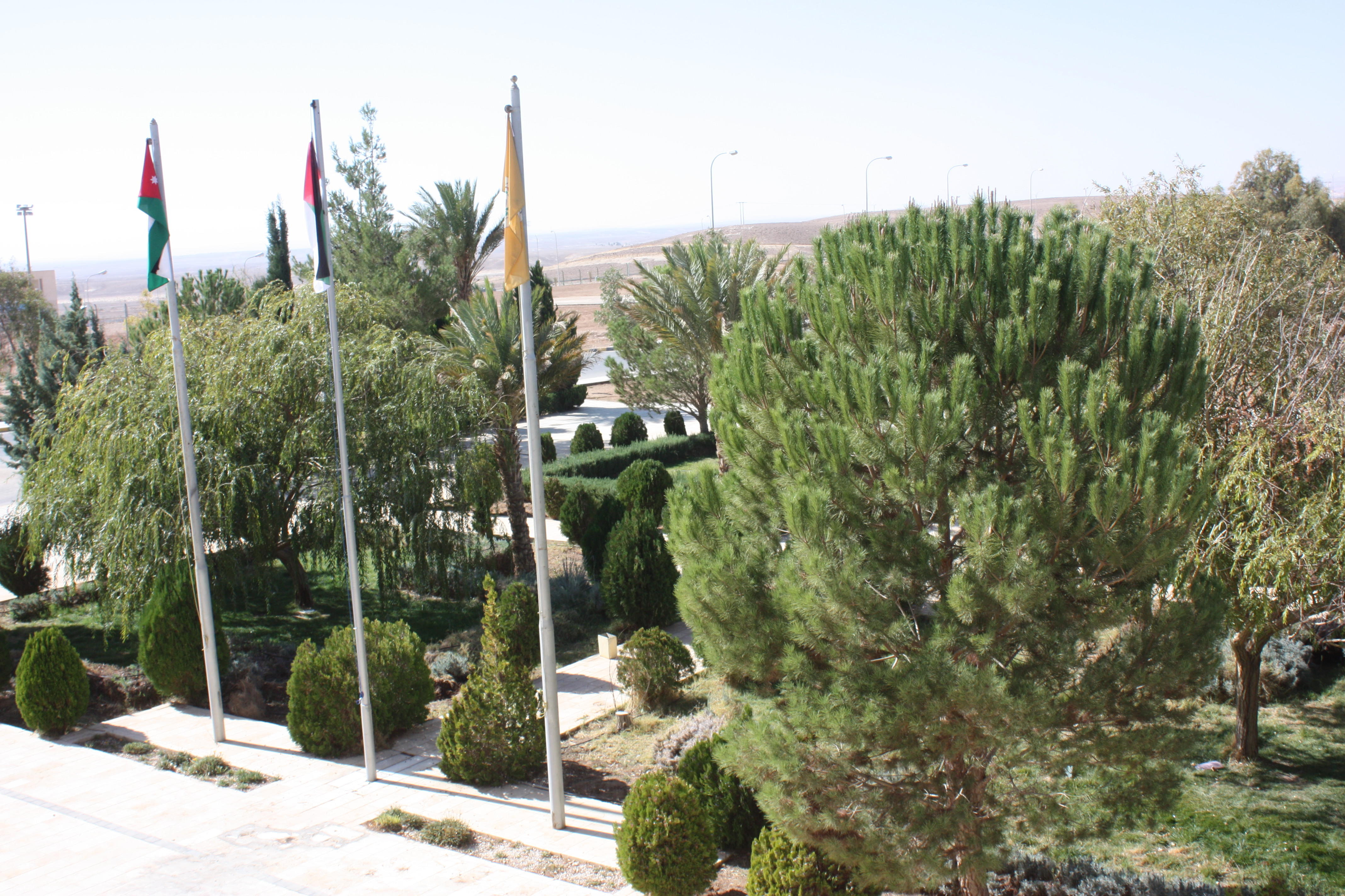 صورة 2