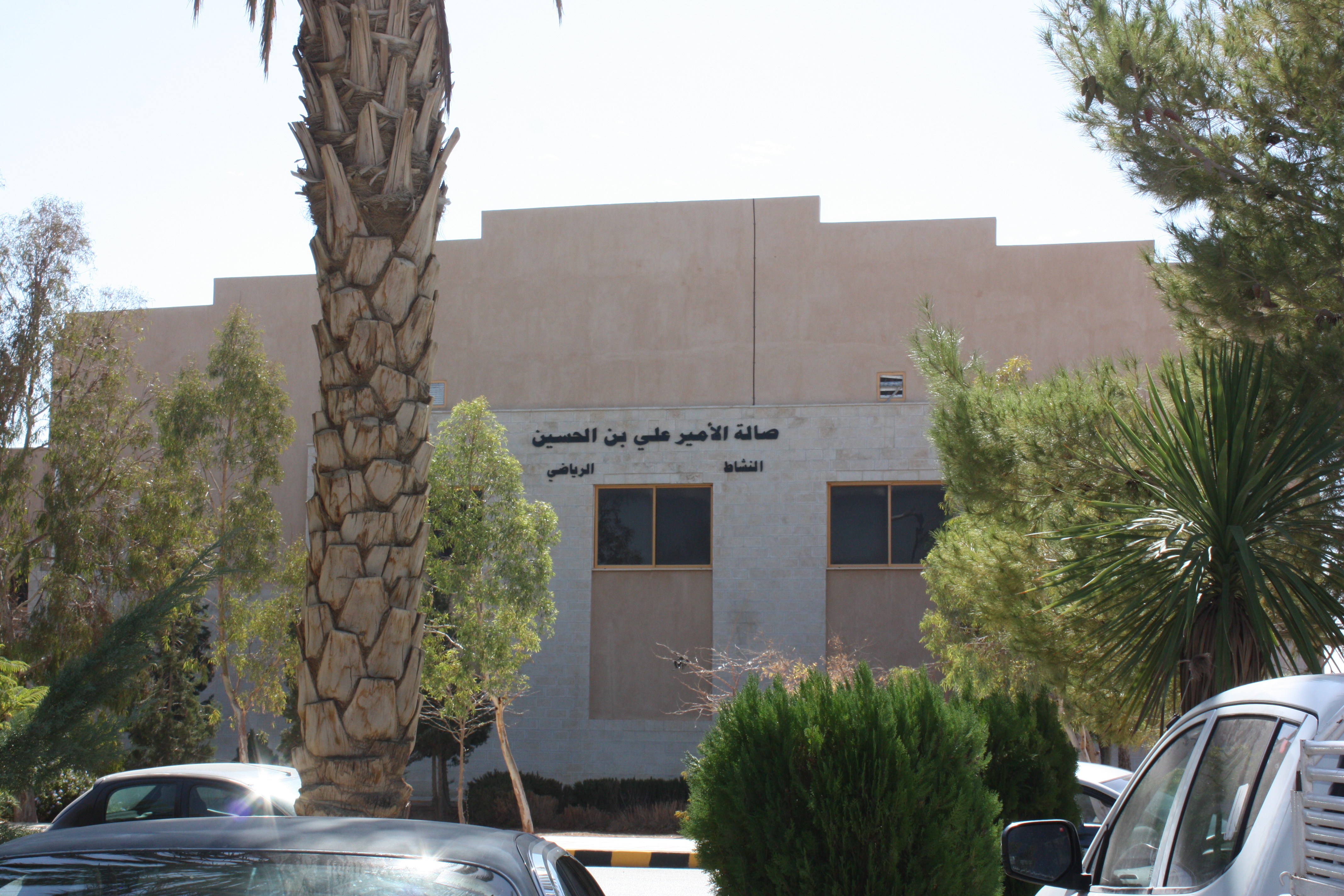 صورة 6