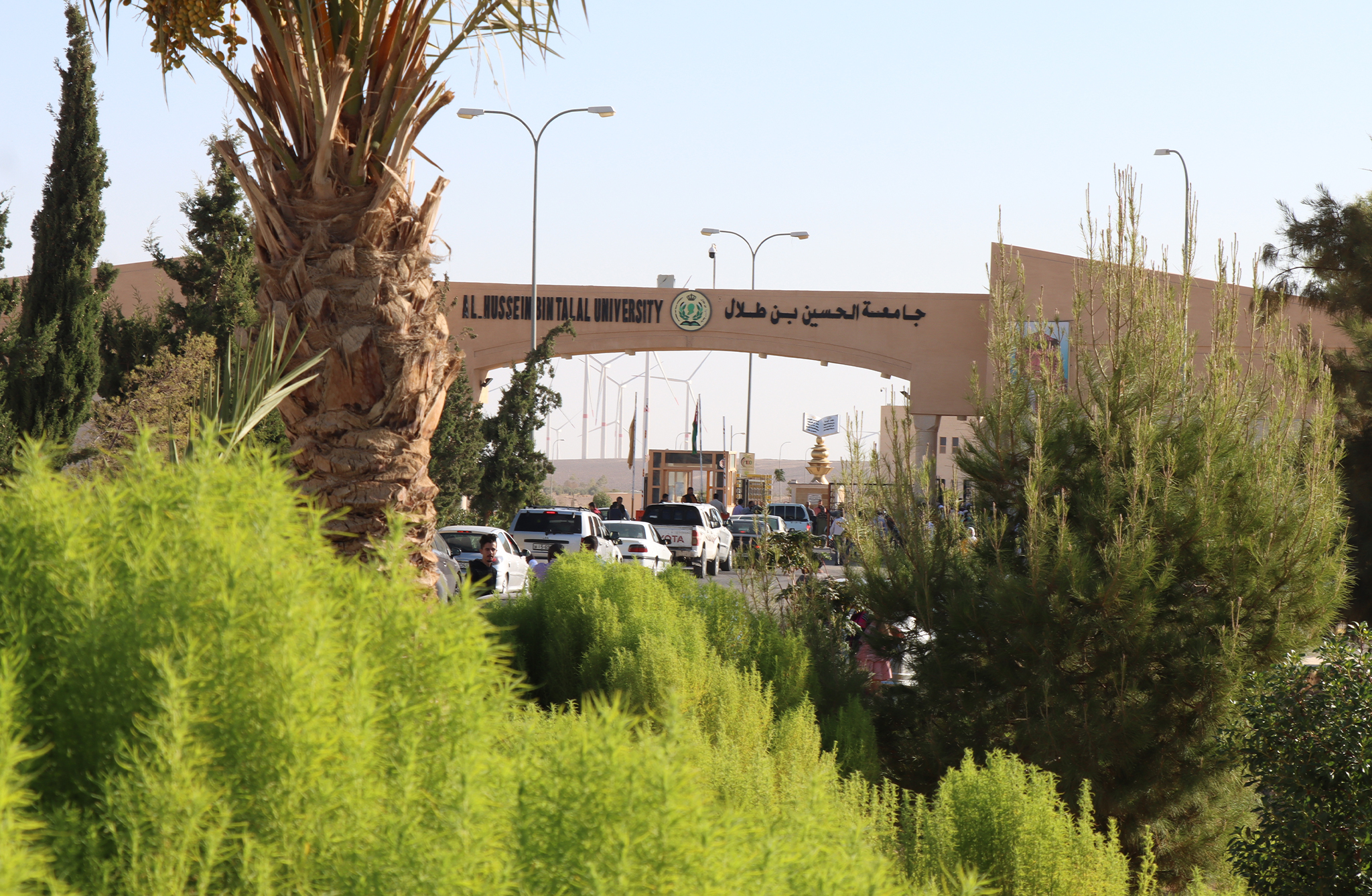 صورة 1