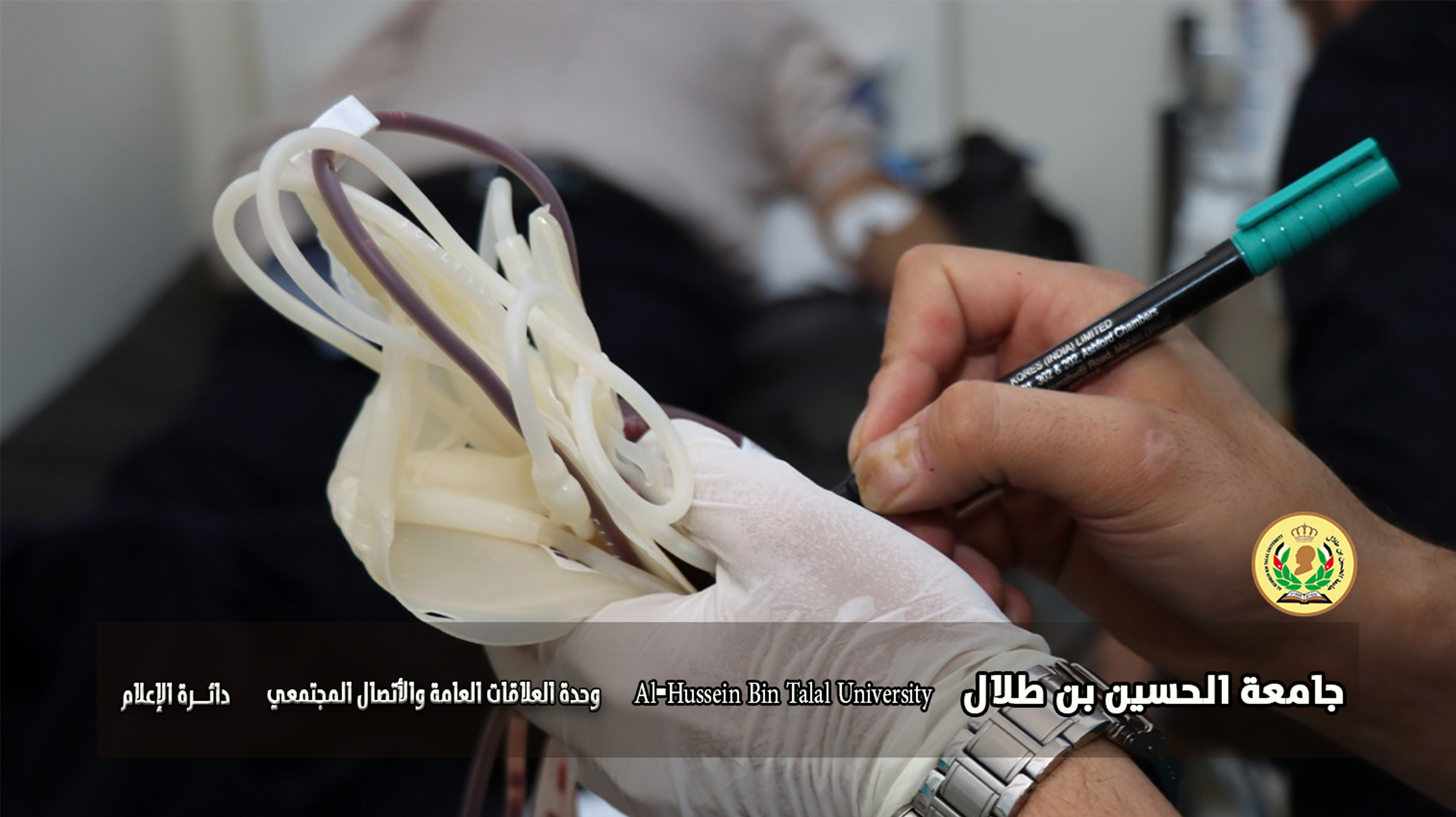 صورة 10