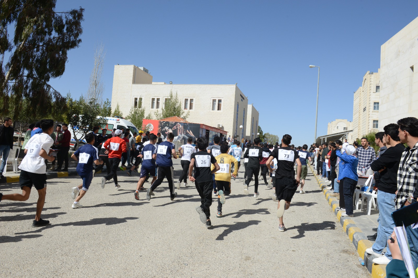 صورة 2