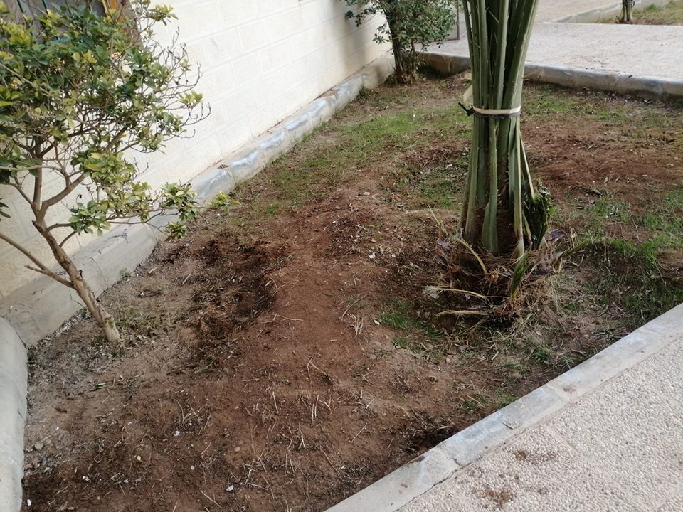 صورة 4