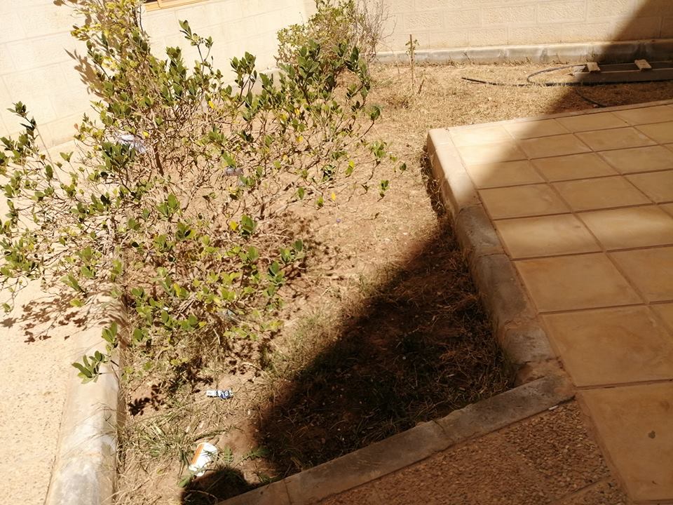 صورة 14