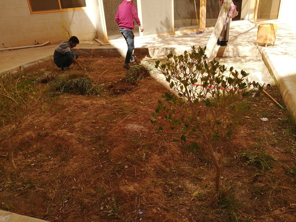 صورة 2