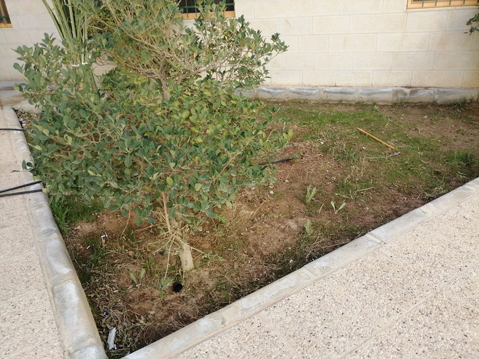 صورة 15