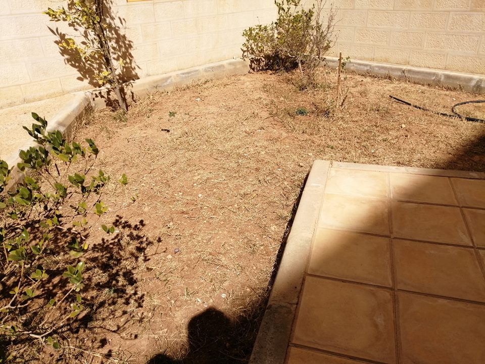 صورة 13
