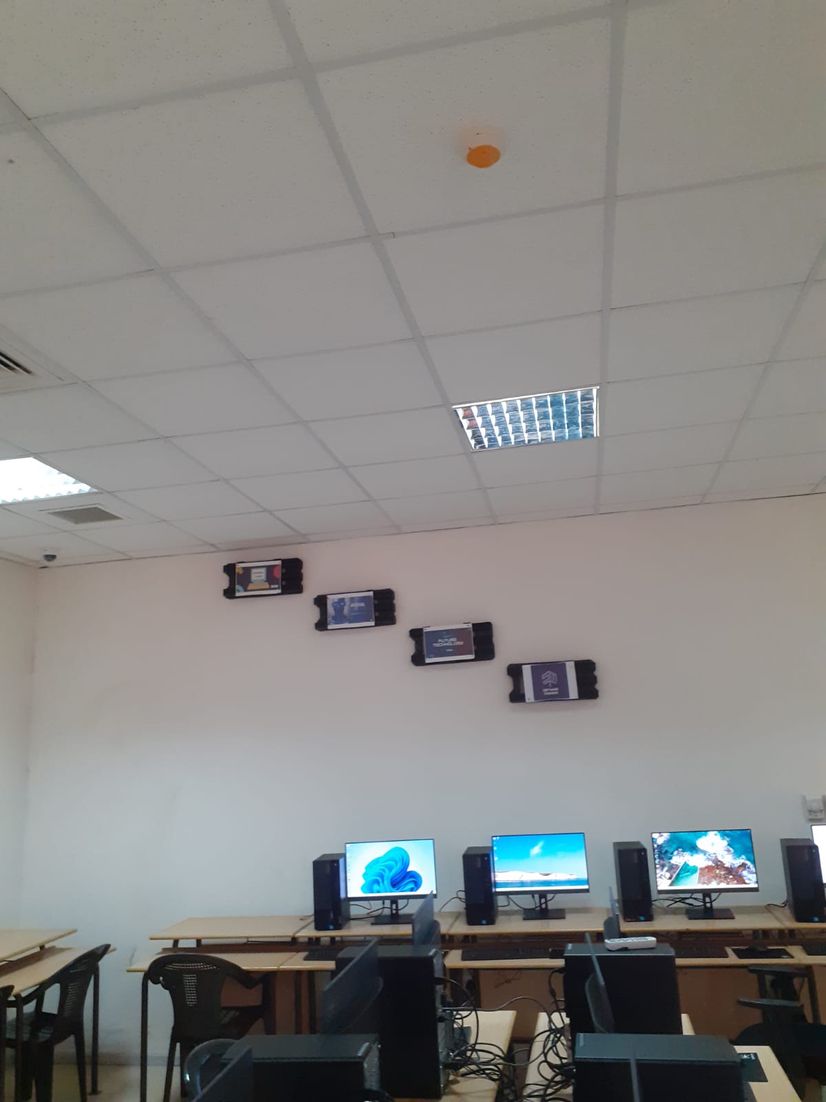 صورة 5