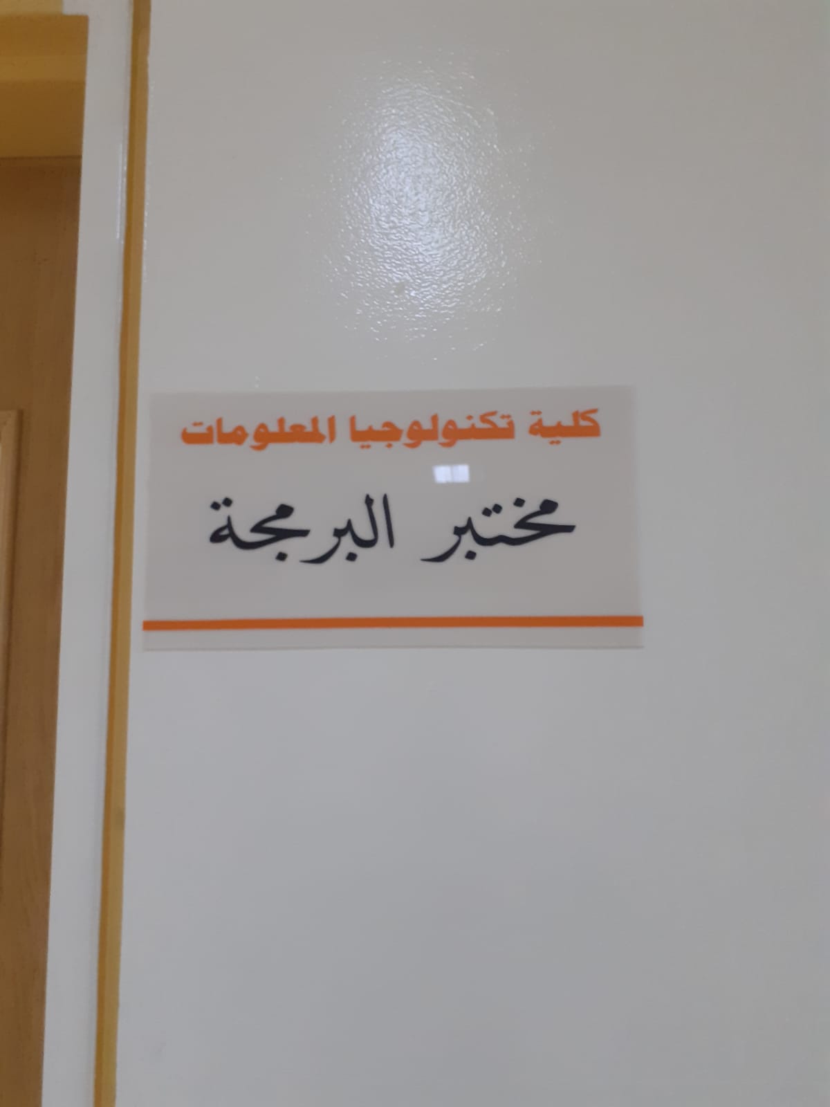 صورة 7