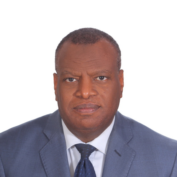 ا.د. محمد سالم عبدالله النعيمات الحويطي